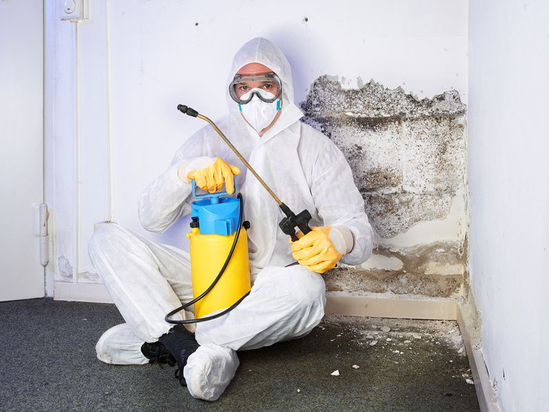 Дезинсекция квартиры » Уничтожение насекомых и обработка в Москве